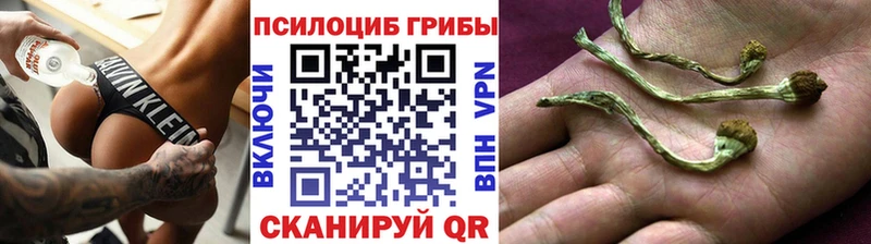 Псилоцибиновые грибы Psilocybine cubensis  купить закладку  Волхов 