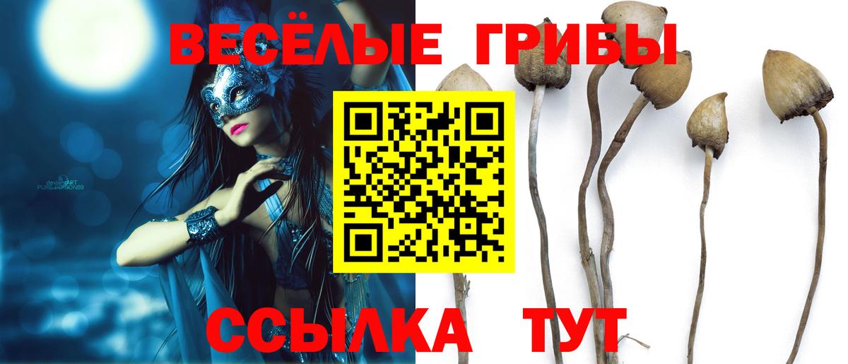 Галлюциногенные грибы Cubensis Волхов