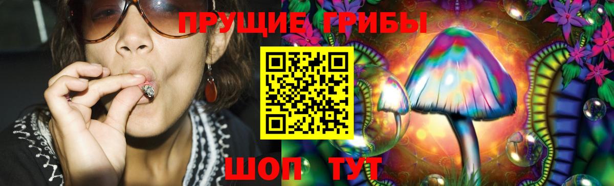 Волхов  где продают   Вход с VPN  Псилоцибиновые грибы MAGIC MUSHROOMS 