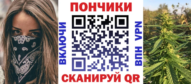 Бошки марихуана Amnesia  мориарти состав  Волхов 
